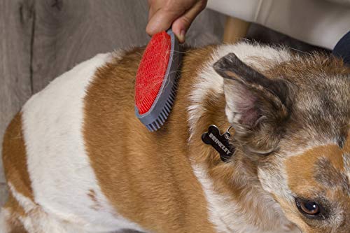 FURemover Duo Pet Hair Rubber Brush, Dual Sided to Easily Remove Fur and Lint from Clothing and Upholstery, Thick Bristles...