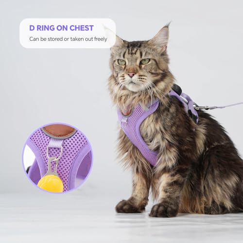 Cat Harness and Leash Set with AirTag Holder: Upgraded Escape Proof Vest with Lead for Small Dog Puppy Large Cat Walking，S...
