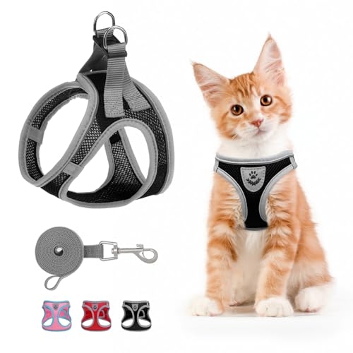 SCENEREAL Cat Harness and Leash Set Escape Proof, Adjustable Soft Air Mesh Kitten Harnesses for Girls Boys Small Medium Bi...