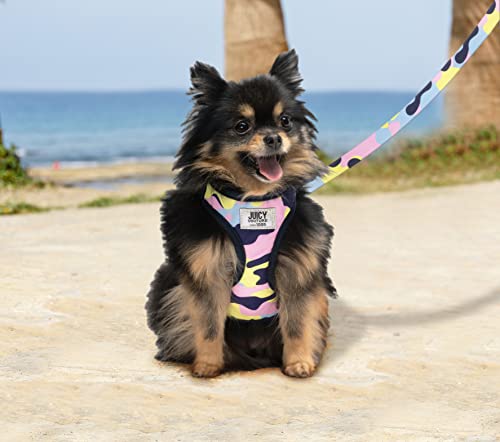 Juicy Couture Colorful Camo Dog Harness and Leash Set – Adjustable Puppy Harness with Puppy Leash & Mesh Padding Dog Harne...