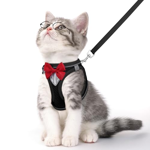 Cat Vest Harness and Leash Set for Walking Escape Proof, Adjustable Kitten Harness Breathable Mesh with Reflective Strips ...