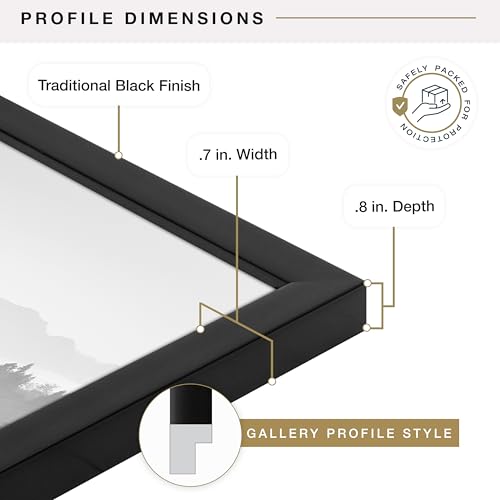 MCS Foundation 18x24 Poster Frame Traditional Black, Vertical & Horizontal Wall Hanging Large Picture Frame for Photos, Po...