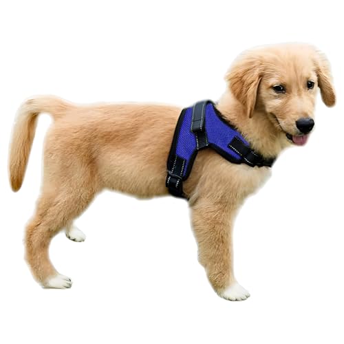 Copatchy No Pull Reflective Adjustable Dog Harness With Handle- Comfortable Soft All Weather Mesh, Easy On Puppy Harness F...