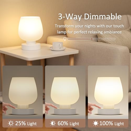 Seealle Touch Table Lamp for Nightstand - Small Bedside Lamp for Bedroom Living Room Night Stands, Desk Lamp with White Gl...