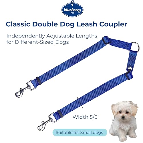Blueberry Pet Essentials Durable Classic Double Dog Leash Coupler, Royal Blue, Small, Dual Walking & Training Leashes for ...