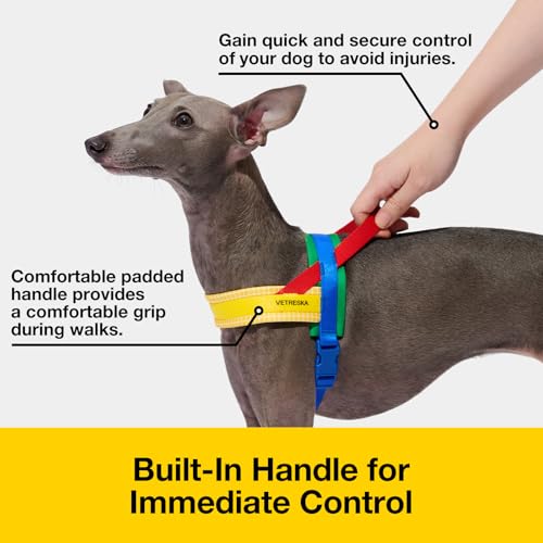 VETRESKA MoMA Dog Harness and Leash Set, Easy Walk Dog Harness for Small Medium Dogs, No Pull Puppy Harness for Walking an...