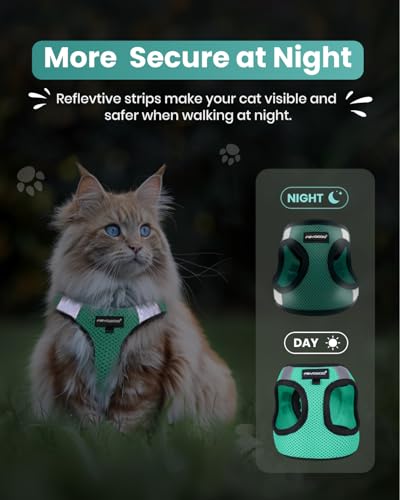 FAYOGOO Escape Proof Cat Harness and Leash Set for Walking, Secure-Fit Step-in Cat Vest Harness, Soft & Lightweight for Ki...