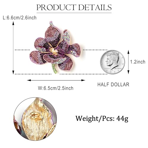 EVER FAITH Women's Austrian Crystal Orchid Flower Petal Brooch
