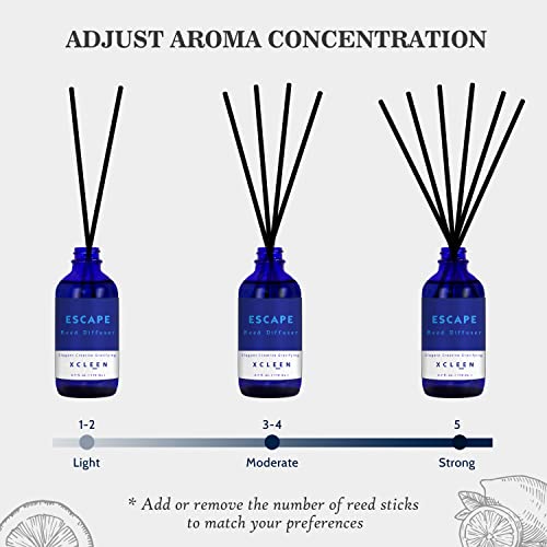 Xcleen Reed Diffusers Set, 3.7 Oz Scent Diffuser, 6 Reed Diffuser Sticks, Home Fragrance Hyacinth, Peony & Citrus, Aromath...