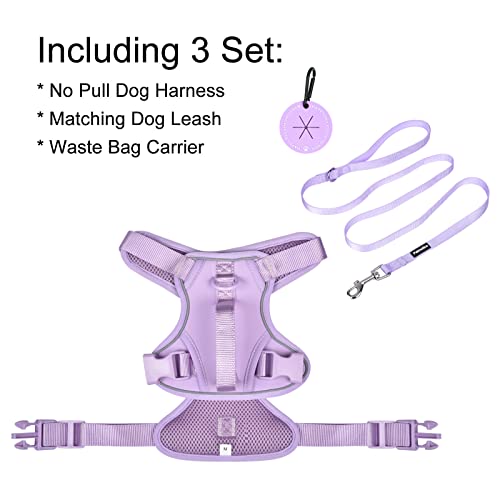 Petmolico Dog Harness for Small Dogs, Cute Harness Vest with Two Leash Clips and Soft Handle, Reflective Easy Walk Puppy V...