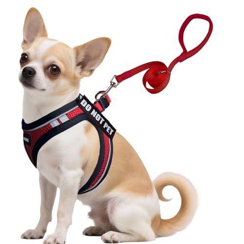 Service Dog Harness Vest Set Emotional Support Small Size Dog- 6PCS Removable Patches -Mesh Puppy Harness and Leash Set Tr...