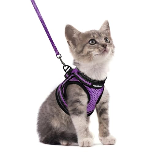 rabbitgoo Cat Harness and Leash Set for Walking Escape Proof, Adjustable Soft Kittens Vest with Reflective Strip for Cats,...