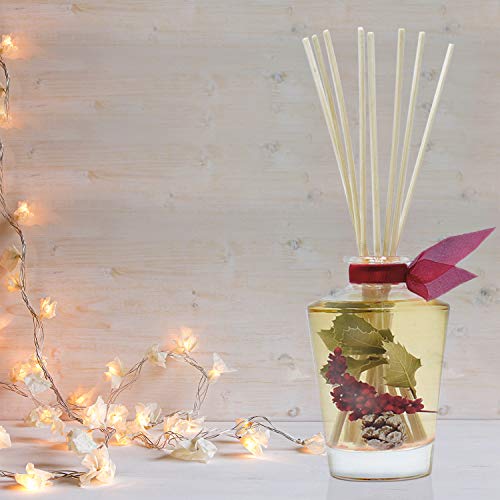 LOVSPA Reed Diffuser Set, Holiday Red Currant & Woods Scented Oil Diffuser with Sticks, Home Fragrance Accessories for Bat...