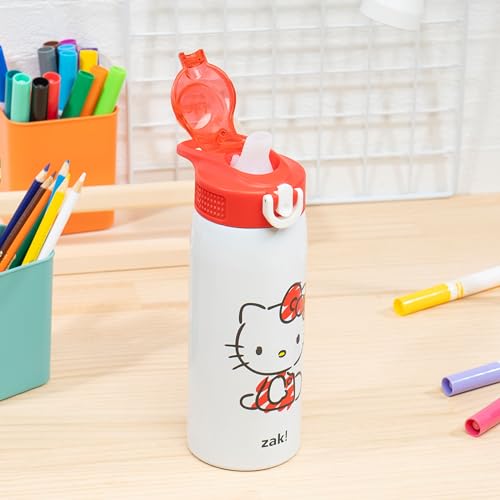 Zak Designs Sanrio Sage Kids Water Bottle For School or Travel, 19oz Stainless Steel Water Bottle With Straw, Handle, and ...