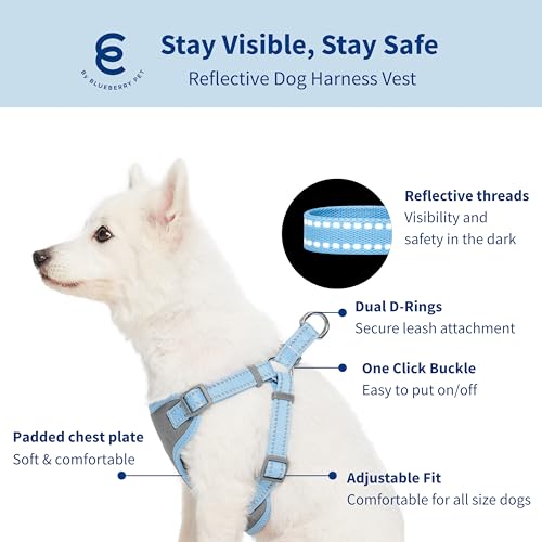 Blueberry Pet Matching Reflective Harness and Leash Set | Adjustable Pastel Vest with Lead for Dogs – Great Value Gift Set...