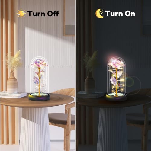 Otlonpe Mothers Day Flowers Gifts for Mom from Daughter Son, Preserved Forever Glass Light Up Rose Gifts for Grandma Wife ...