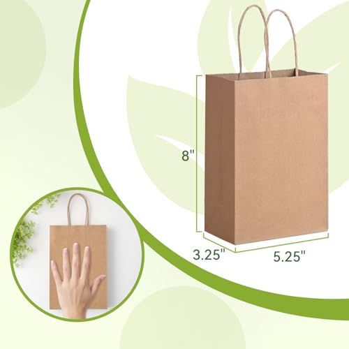 Brothersbox Small Brown Paper Bags with Handles 100PCS, 5.25 * 3.25 * 8 Inch Kraft Gift Bags Bulk for Craft Shopping Busin...