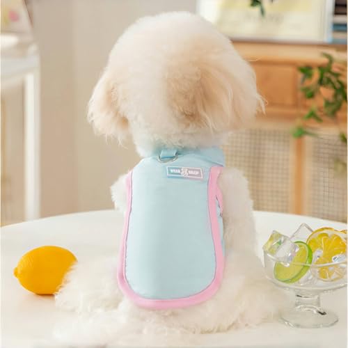 Yaopelky Dog Cooling Vest, Summer Pet T-Shirt, Breathable Quick-Dry Outfit for Dogs and Cats, Blue (Blue, Medium(5.5-8.8lb))
