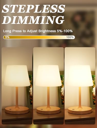 Kakanuo Cordless Shower Lamp Waterproof, Cordless Lamp with 4000mAh Battery, Rechargeable Table Lamp, Touch Dimmable Desk ...