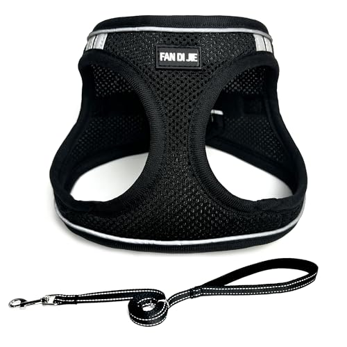 Dog Harness and Leash Set, No Pull Soft Mesh Pet Harness -in Puppy Pet Vest Harnesses for XS,Small,Medium Dogs and Cats Bl...