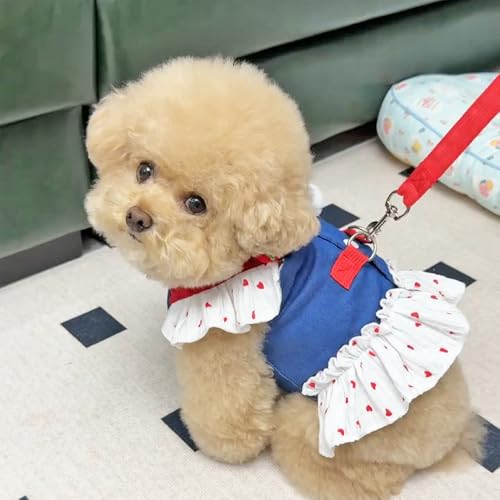 ANIAC Denim Dog Dress Harness with Leash Set Cute Small Dogs Clothes Girl Heart Patterns Puppy Dresses Breathable Mesh Cat...