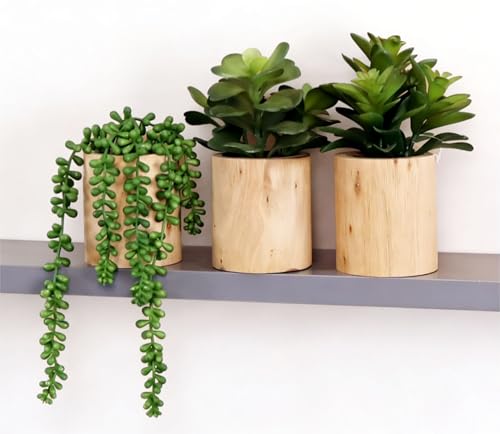 VINSUNI Artificial Succulents with Pots - Set of 3 Small Fake Plants for Aesthetic Room Decor - Realistic Mini Faux Greene...