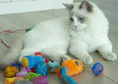 Fashion's Talk Cat Toys, Kitty Variety Pack for Kitten Cats, 20 Count Plush, Teaser & Ball Catnip Mice Cat Spring
