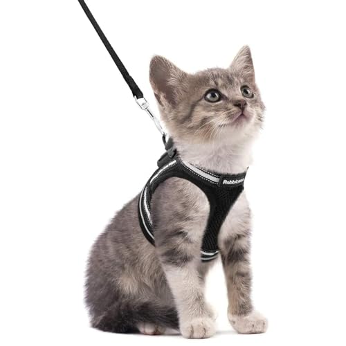 rabbitgoo Cat Harness and Leash Set for Walking Escape Proof, Adjustable Soft Kittens Vest with Reflective Strip for Cats,...