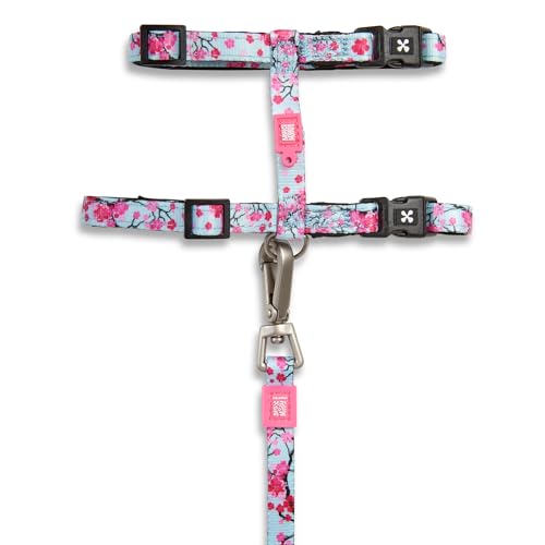 Max and Molly Adjustable Cat Harness and Leash Set - Escape-Proof Cat Harness with Leash for Outdoor Walking and Explorin...