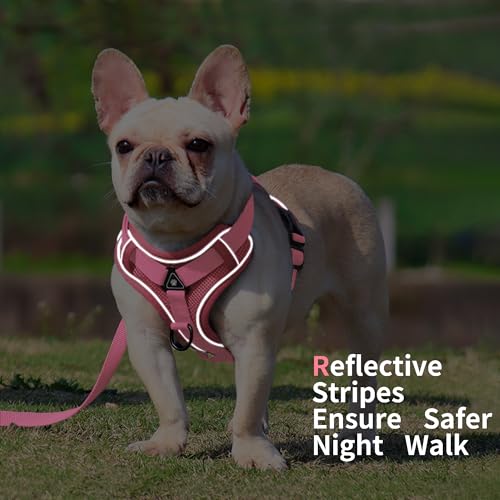 Jolifield No Pull Dog Harness with Leash Set for Small Sized Dog, Reflective Adjustable No Choke Front Clip Cat Vest Harne...