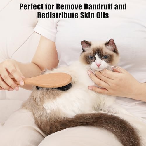 Boar Bristle Cat Brush with Wooden Handle, Soft and Gentle, Reduce Shedding, Make Coat Soft, Smooth and Shinny, Daily Groo...
