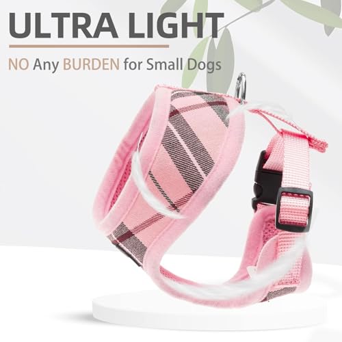 PUPTECK Soft Mesh Dog Harness and Leash Set Pet Puppy Cat Comfort Padded Vest No Pull Harnesses, Light Pink, M