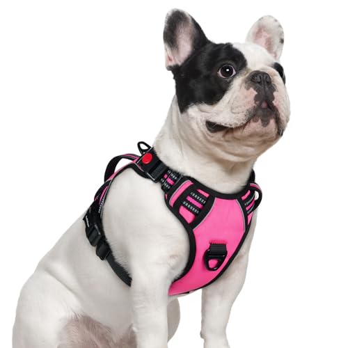 rabbitgoo Dog Harness Small Sized Dog, No Pull Pet Harness with Soft Padded Handle, Adjustable Reflective Vest with 3 Buck...