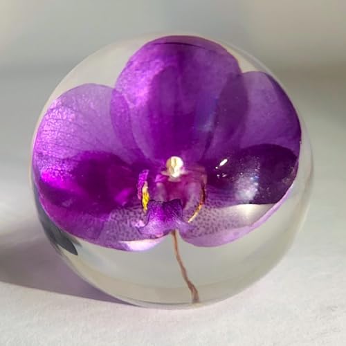 HQRP-Crystal 66mm Real Purple Orchid in Clear Lucite Resin Ball Anniversary Wedding Engagement Valentine October Birth Mon...