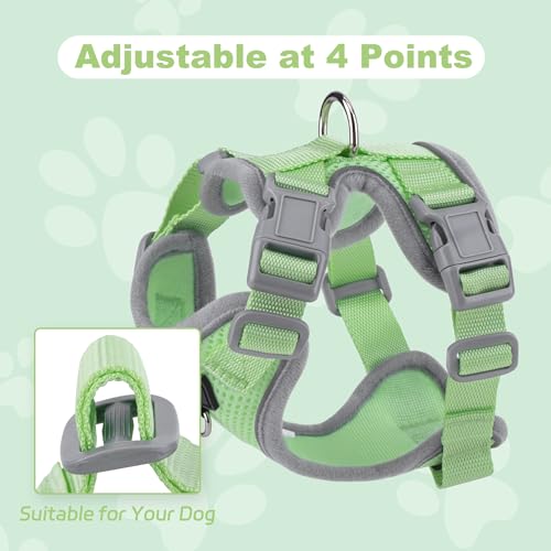 HIMNESEYO Small Dog Harness and Leash Set, No Pull Adjustable Pet Harness for Small Dogs, Breathable Mesh Rflective Dog Ve...