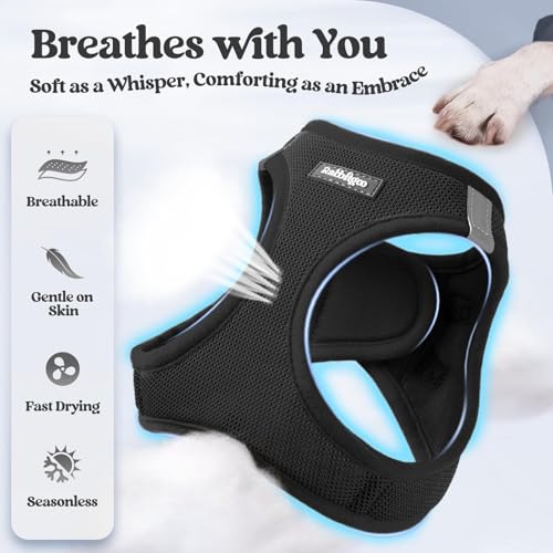 rabbitgoo Dog Harness Small Sized and Leash Set, Step in Soft Light Puppy Vest, Breathable Mesh Pet Harness, Reflective fo...