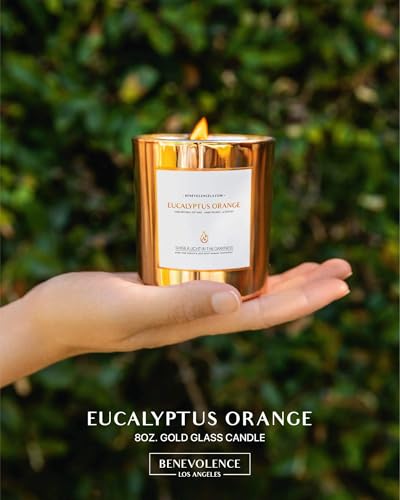 Benevolence LA Eucalyptus Orange Wood Wick Candles | Soy Christmas Scented Candles for Home | Holiday Candle Gifts for Wom...