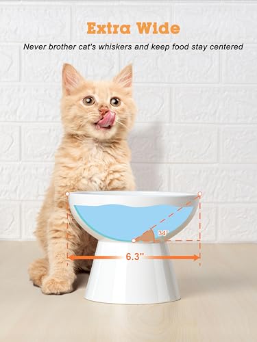 LoeJan Elevated Cat Food and Water Bowls Set, Extra Wide and Raised Ceramic Bowls, Anti-Vomit Whisker-Free Pressure Cat Fe...