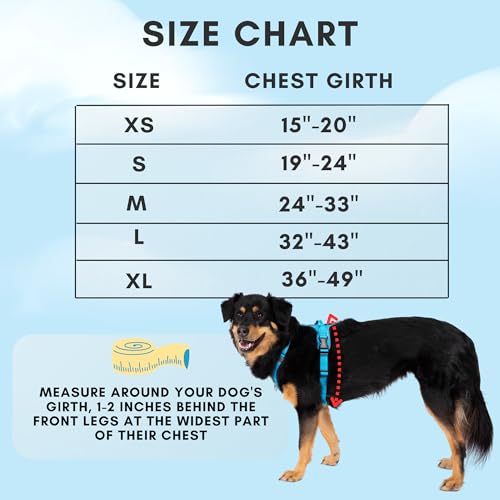 ShawnCo Basecamp Dog Harness, No-Pull Pet Vest with 3 Leash Clips, Padded, Reflective, Lightweight and Adjustable Harness ...