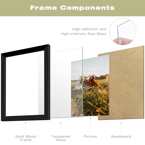 Frametory, 8.5x11 Picture Frame - Solid Wood -Black Molding - Tempered Glass Front, Portrait, Wall Gallery Frame (Black, 1...