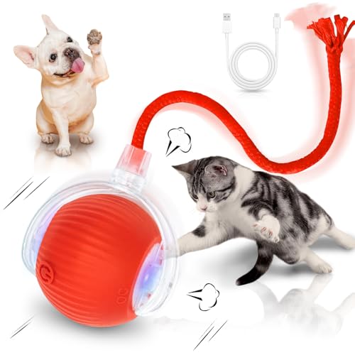 MAXTOOA Interactive Cat Toys for Indoor Cats Smart Automatic Ball Rolling for Bored Kitten Pet Upgraded Speedy Moving Chas...