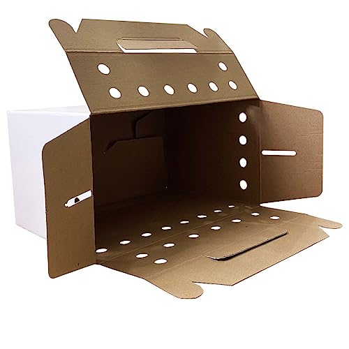 Cardboard Pet Carriers for Small Animals, Hamsters, Gerbils, Birds, Reptiles, Not for Cats or Dogs, Disposable Cardboard P...