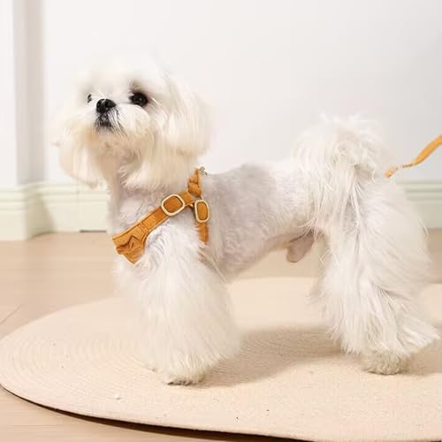 Vinqki Cute Small Dog Harness and Leash Puppy Set with Bowtie,Step in Dog Harnesses,Soft Adjustable Cat & Dog Vest,Harness...