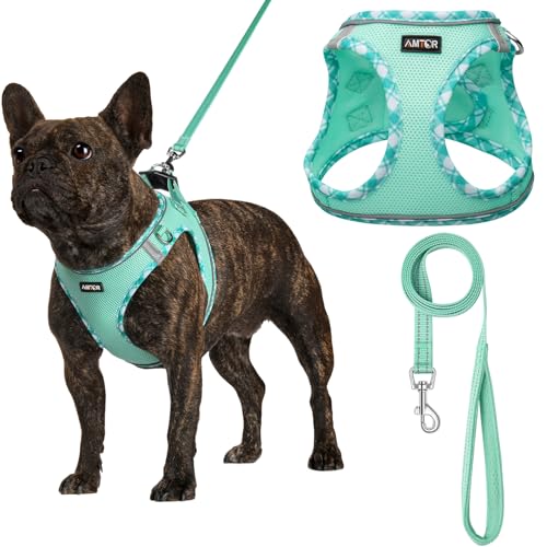 AMTOR Small Dog Harness with Leash Set, No Escape Easy Walk Puppy Harnesses for Training Walking, Step-in Reflective Soft ...