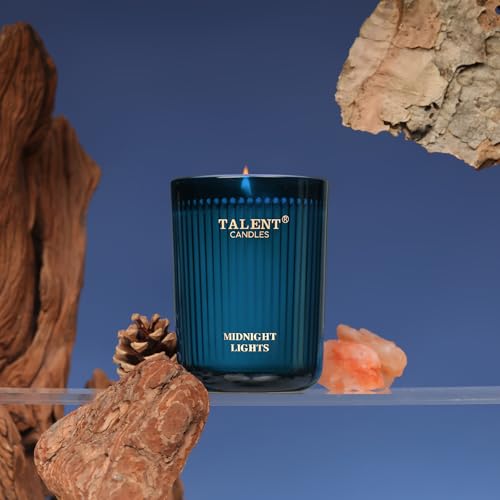 Talent Candles Jar Candles for Home Scented, Aromatherapy Candles Gifts for Women & Men, Natural Soy Candle, 8.4oz Traditi...