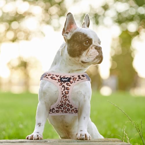 PUPTECK Dog Harness and Leash Set for Small Medium Dogs No Pull Step-in Soft Mesh Puppy Cat Vest Harnesses Reflective at N...