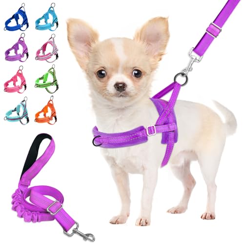 Lukovee No Pull Dog Harness and Leash Set, Soft Padded Small Dog Harness, Neck & Chest Adjustable Reflective Vest Puppy Ha...