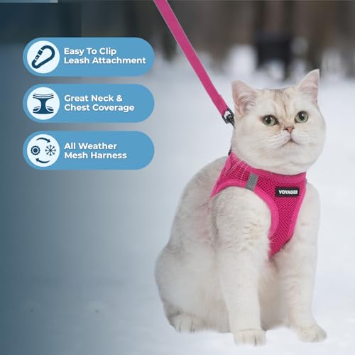 Voyager Step-in Pet Harness - All Weather Mesh, Adjustable Step in Harness for Cats and Dogs by Best Pet Supplies - 307S F...