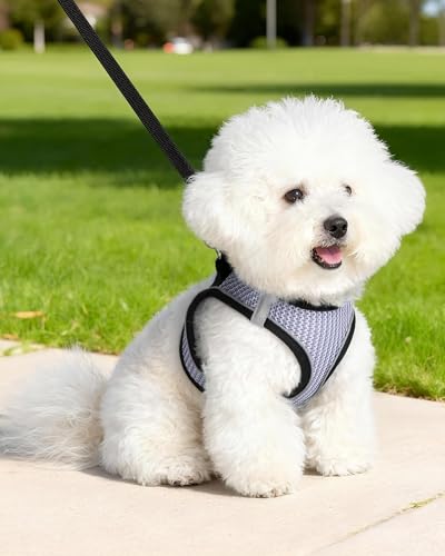 VernAlly Dog Harness Small Sized and Leash Set, Step in Soft Light Puppy Vest, Breathable Mesh Pet Harness Suitable for Pu...