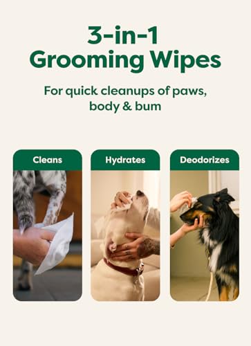 Earth Rated Dog Wipes, Hypoallergenic, 3-in-1 Cleaning and Hydrating, for Grooming Paws, Body and Butt, Lavender Scented, ...
